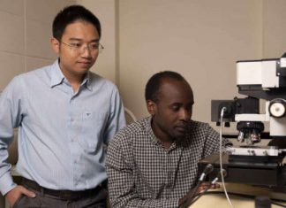 Twisting The Angle Brings New Possibilities For Ultra-Thin 2D Materials