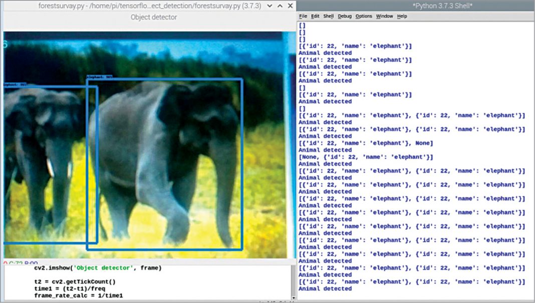 Animal Classification With RPi Camera For Survey & Monitoring