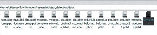 Creating file named New.pbtxt under data folder