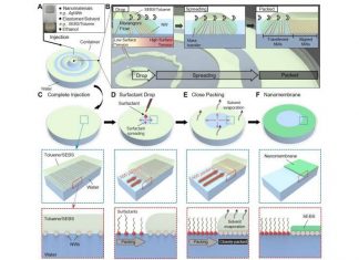 Highly Conductive And Elastic Nanomembrane For Skin Electronics