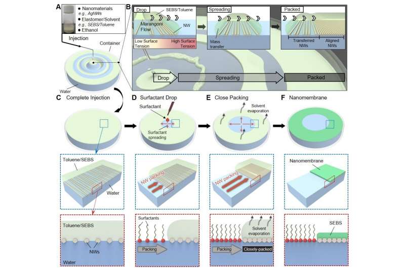 Highly Conductive And Elastic Nanomembrane For Skin Electronics