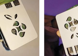 First Bird / Animal Language Translator Enabling You To Talk With Nature