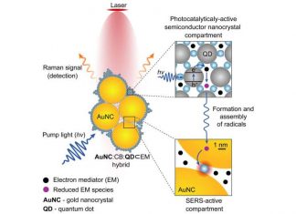 Researchers Develop Nano Camera To Monitor Chemical Reactions in Real Time