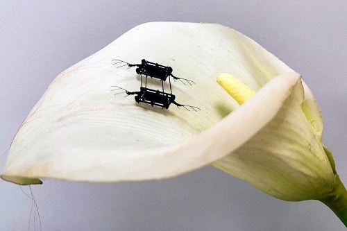 Enhanced Performance Of Microbots Enables Them To Fly Like Insects