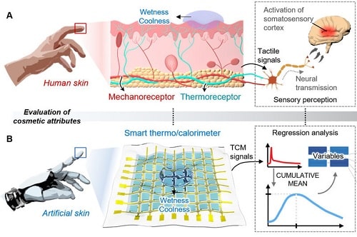 Intelligent Tactile Sensor That Measures Skin Sensations