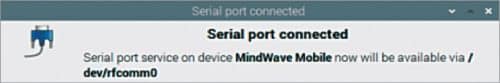 Serial port name