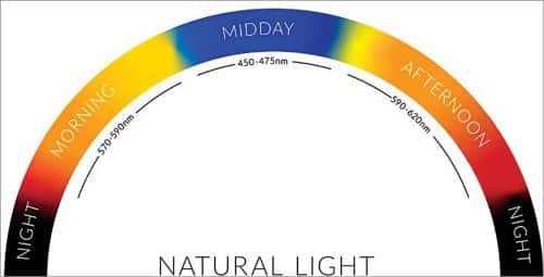 Light spectrum during different parts of a day