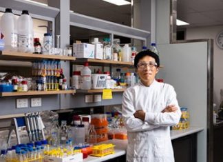 Professor Lianzhou Wang in the laboratory (Credit: University of Queensland)