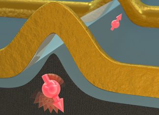 The newly developed qubits are based on so-called holes (red) whose spin (arrow) in one or the other direction stores the information. They are arranged in an architecture based on silicon transistors. (Illustration: NCCR Spin)