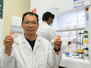 Researchers Develop Sustainable Batteries With Organic Electrodes