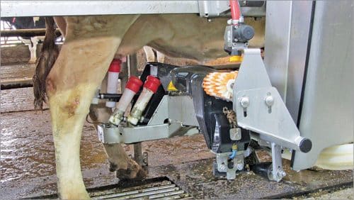 Milking robot (Credit: Flickr)