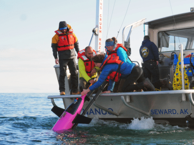 A Seaglider That Tracks Ocean Acidification