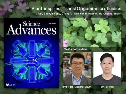 Scientists Develop Plant-inspired Device That Adapts To The Environment