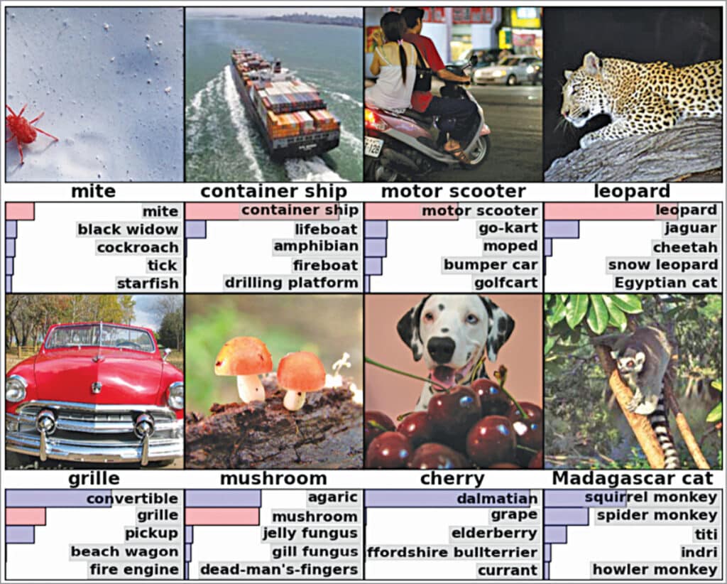 Fig. 2 AlexNet’s most probable labels on ImageNet images, with five labels considered most probable for each. The probability assigned to each label is also shown by the bars (