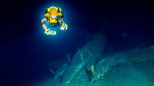 More About Stanford’s Underwater Robot, OceanOneK