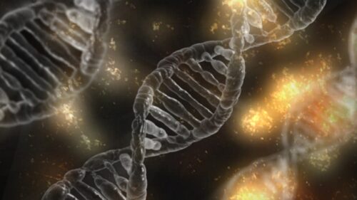 AI-Software Can Forecast The 3D Structure And Role Of DNA In Regulation