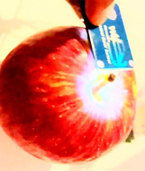 Building Low Cost DIY Spectrometer using Raspberry Pi at Home