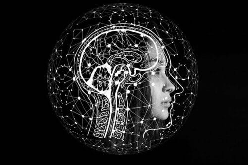 A Neurocomputational Model That Could Enhance AI Research