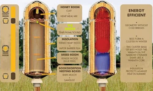 German company HIIVE 3D-prints tree cavities to provide a natural home for bees in farms (Courtesy: HIIVE)