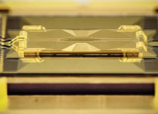 Quantum Ecosystem