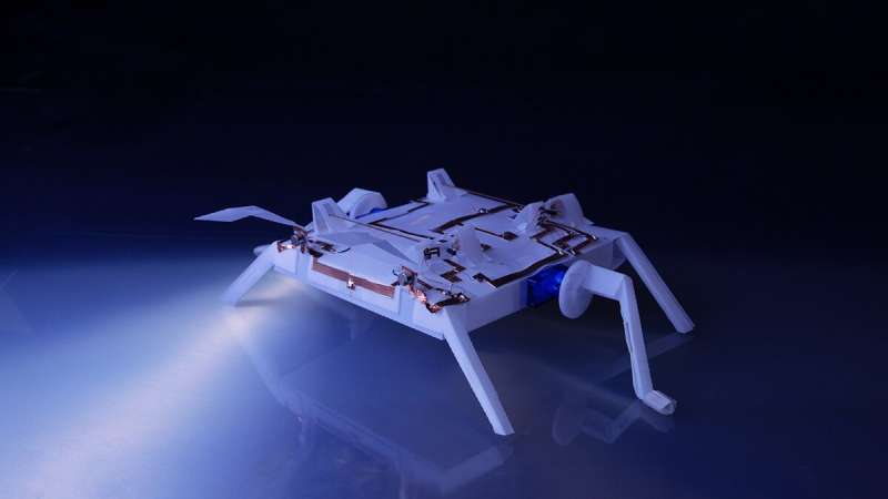 Origami-Inspired Robots Can Help Explore Space!