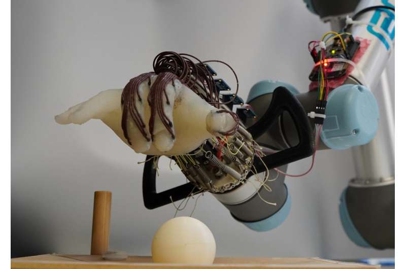 esearchers have designed a low-cost, energy-efficient robotic hand that can grasp a range of objects—and not drop them–using just the movement of its wrist and the feeling in its "skin." Credit: University of Cambridge