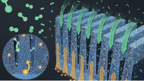 The grooved electrode design enables the transport of oxygen and protons to be partitioned into separate grooves and ridges, respectively, enabling faster movement of both species, and hence higher fuel cell performance. Credit: Nature Energy (2023). DOI: 10.1038/s41560-023-01263-2