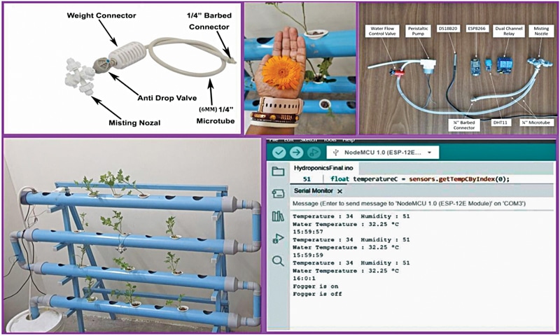 Hydroponic Automation: Smart Watering System with NTP Scheduling