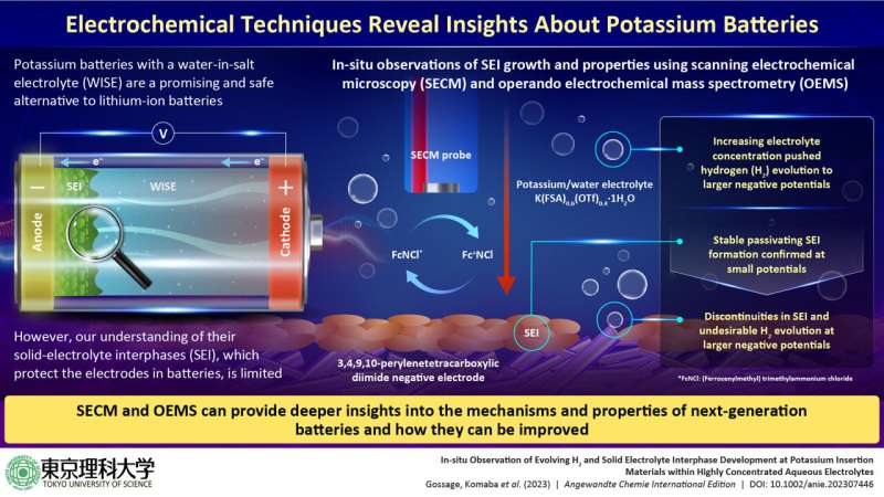 Potassium-Ion Batteries Pave The Way For A Sustainable Tomorrow