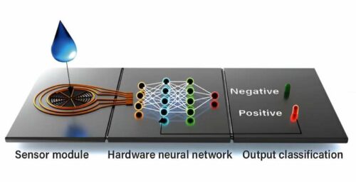 E. R. W. van Doremaele et al, A retrainable neuromorphic biosensor for on-chip learning and classification, Nature Electronics (2023). DOI: 10.1038/s41928-023-01020-z