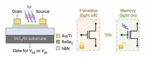 Meng-Yu Tsai et al, A reconfigurable transistor and memory based on a two-dimensional heterostructure and photoinduced trapping, Nature Electronics (2023). DOI: 10.1038/s41928-023-01034-7