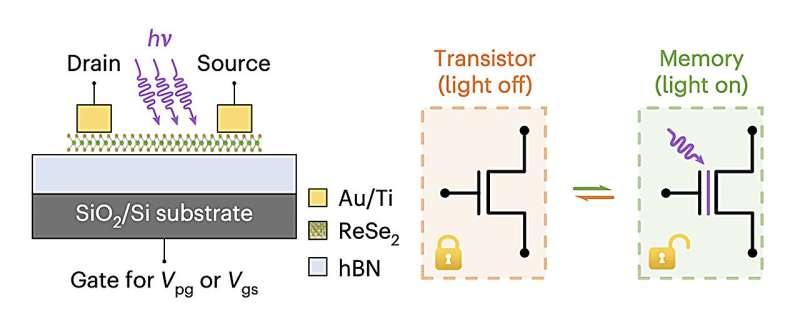2D Heterostructure-Based Reconfigurable Transistor And Memory Device