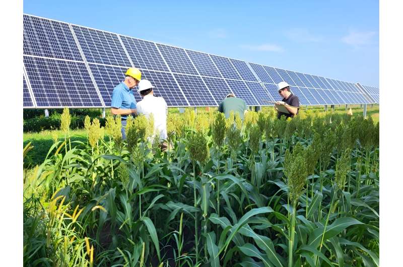 Enhancing Sustainable Food, Energy, And Land Productivity With Agrivoltaics