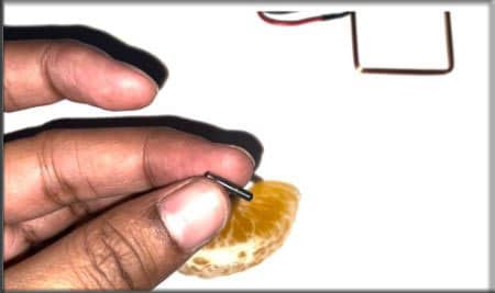 Implanting RFID Chip Inside Fruit