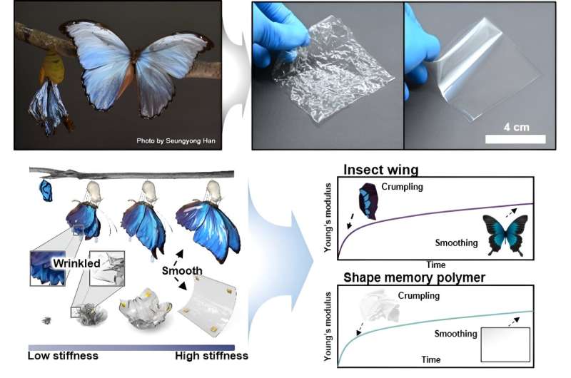 Crumple Recoverable Electronics Based On Butterfly Wings Unfolding Mechanism