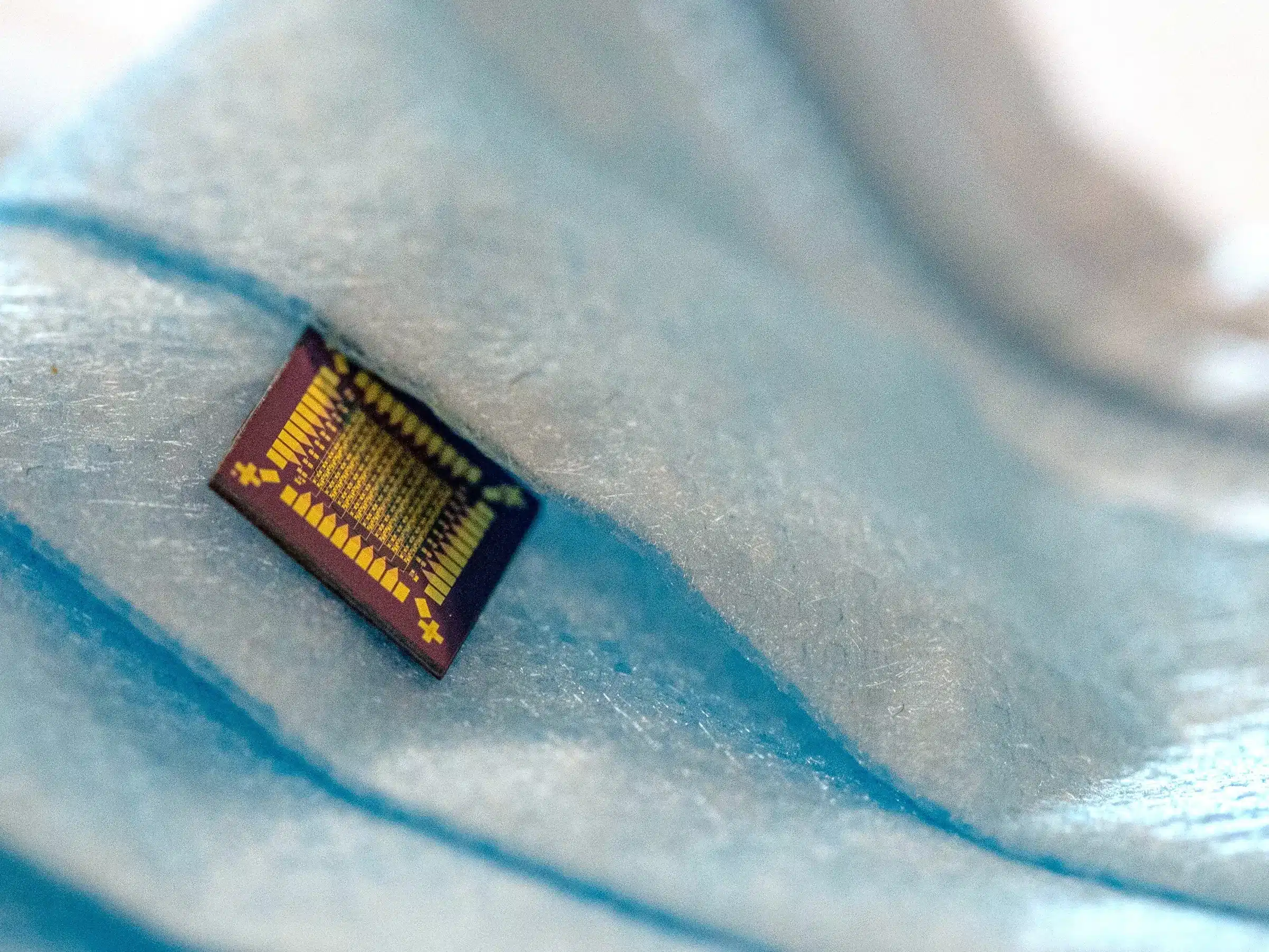 Silk-Based Transistors For Hybrid Applications