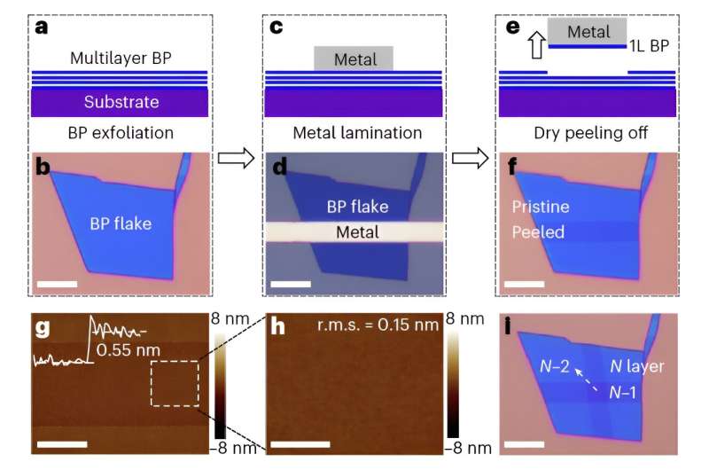 Monolayer Transistors Based on 2D Semiconductors Using Van der Waals Peeling
