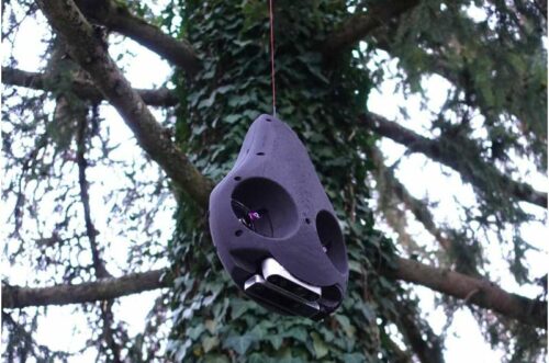 The robot Avocado manoeuvres around branches in the treetops. Credit: Emanuele Aucone.