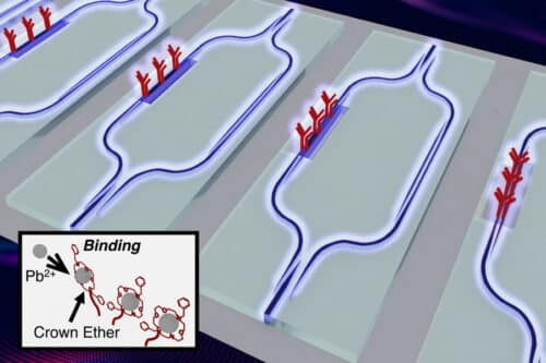 Caption:Artist’s impression of the chip surface, showing the on-chip light interferometer used to sense the presence of lead. The lead binding process to the crown ether is shown in the inset.
Credits:Image: Jia Xu Brian Sia