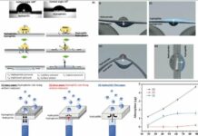The Paper-Based Device Generates Electricity