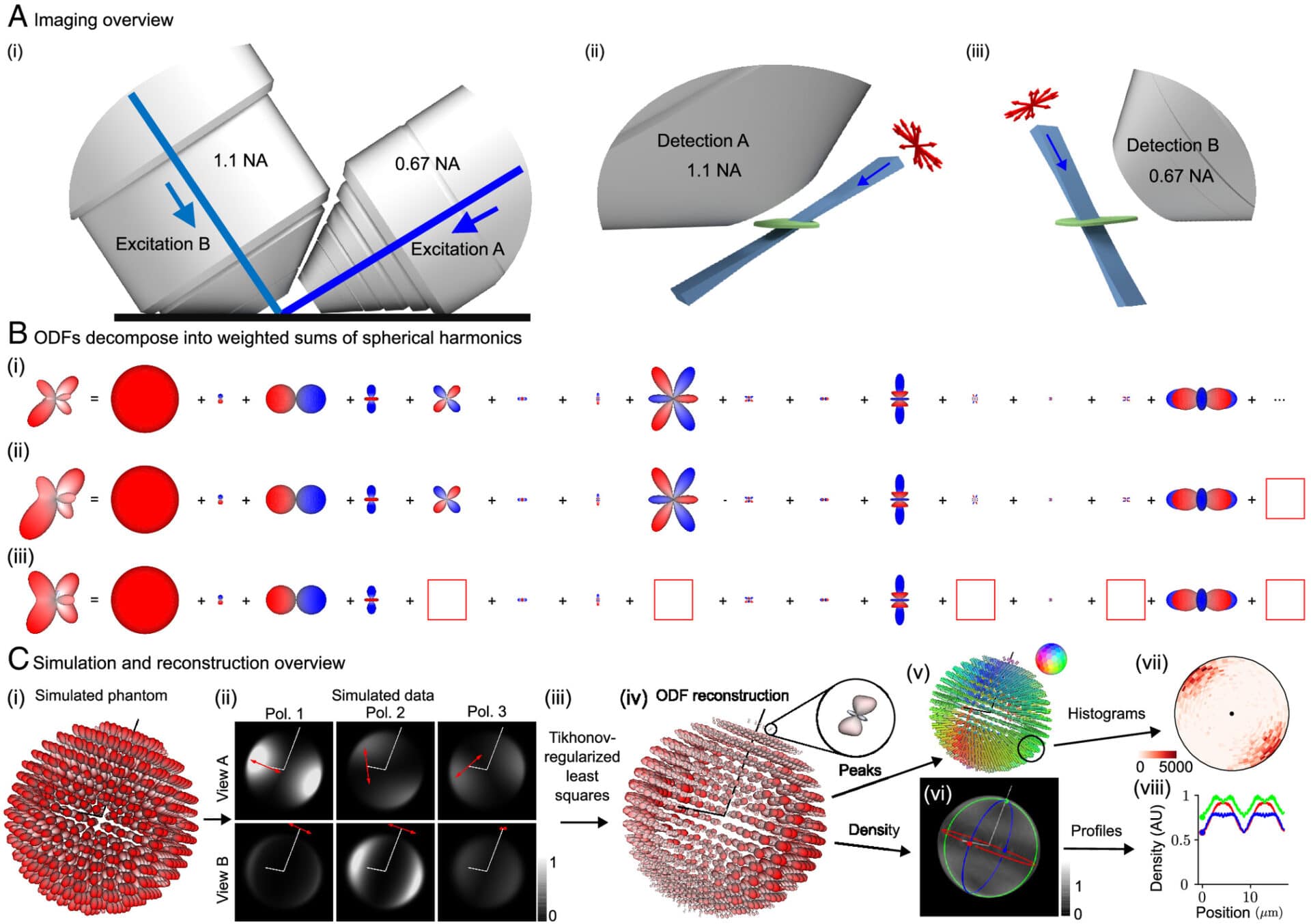 Transitional Polyhedral Microscope Hybrid Microscope For 3D Imaging