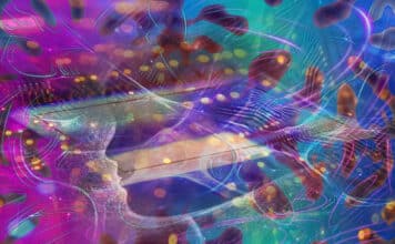 AI Accelerator For Fast Wireless Signal Processing