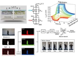 Energy-Saving Color-Seeing Device