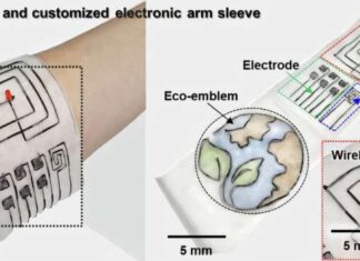 Biodegradable Fiber Electronics Offer Solution To E-Waste