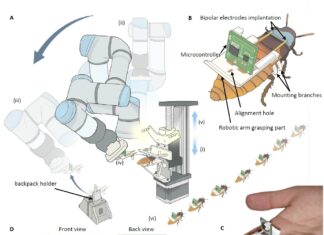Prototype of the automated cyborg insect factory assembly line