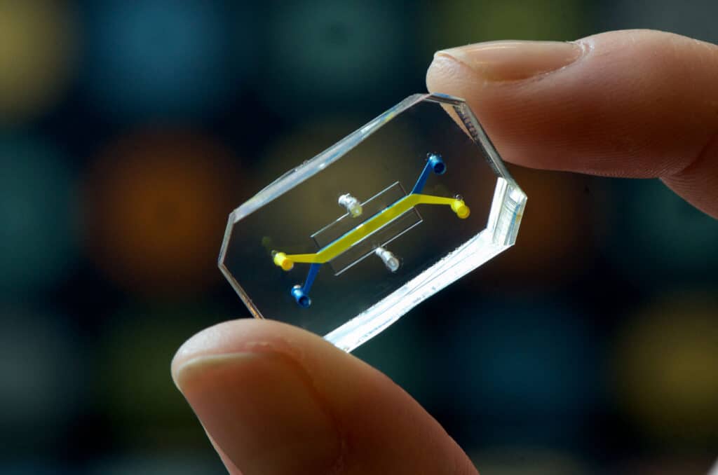 Organ-on-Chip