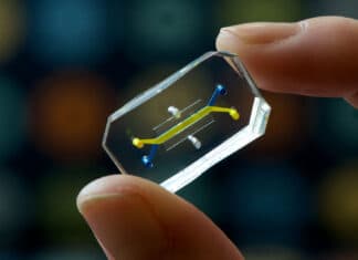 Organ-on-Chip