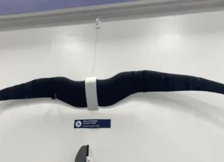 Bird-inspired glider wing.