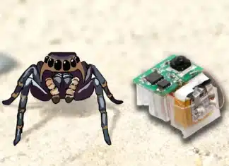 Researchers have developed small muscle-inspired actuators to help bug-sized soft robots move around autonomously