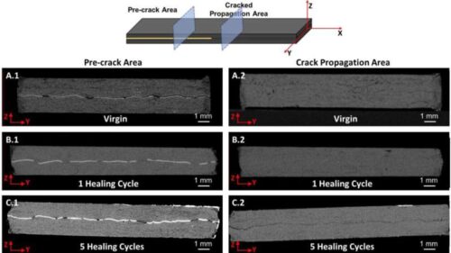 X-ray images of ATSP across five different damage-healing cycles. In the first cycle, the scans revealed that ATSP fully healed and recovered its shape and strength. By the fifth cycle, mechanical fatigue began to appear, though the durability and chemical stability were not affected. Credit: Dr. Mohammad Naraghi/Texas A&M University. https://doi.org/10.1177/00219983251362394